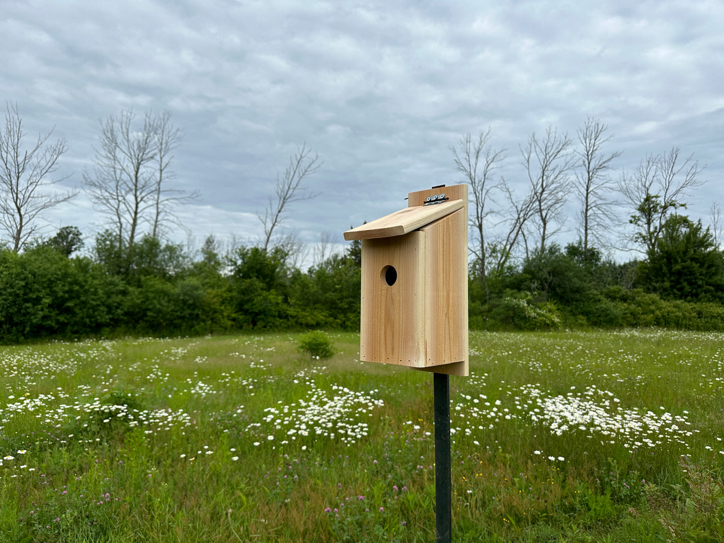 Bird House - DIY Digital Plans