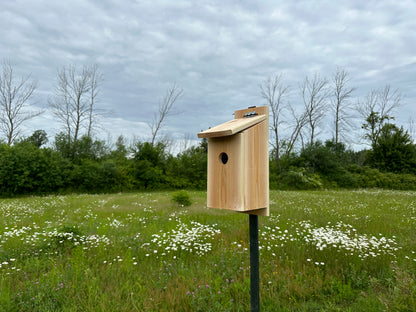 Bird House - DIY Digital Plans