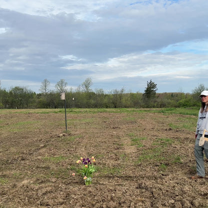 Garden Basket Print-At-Home Templates
